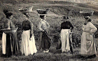 pays basque autrefois pêche femmes