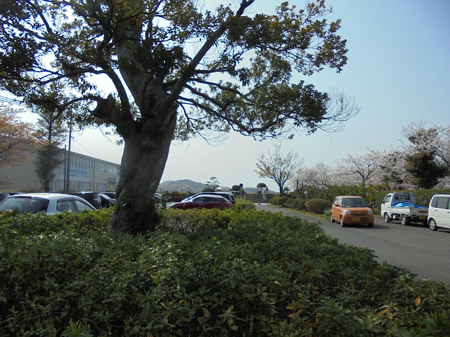 湊山公園の駐車場