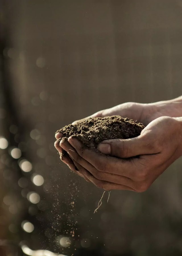 Introductory soil science