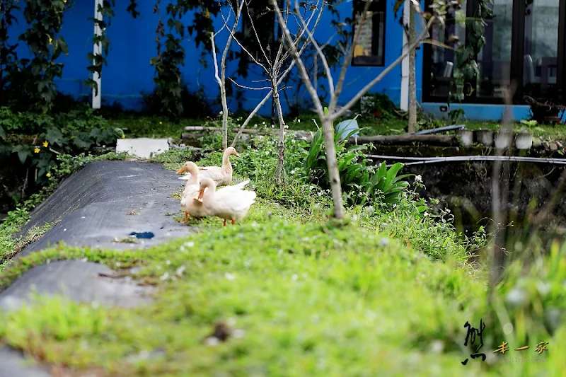 南投埔里親水包棟住宿｜水水春耘民宿