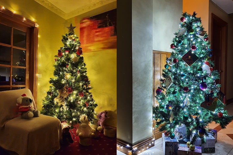 How I Got FREE Christmas Trees, and Turned them into Magic!