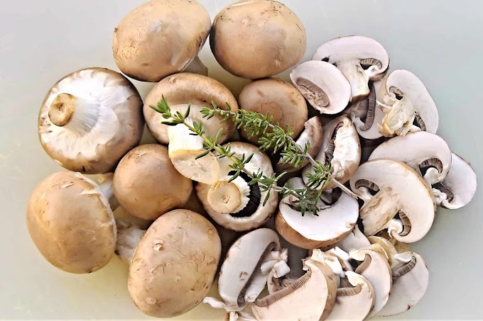 What are the health benefits of eating button mushrooms? | Organic mushrooms | Biobritte mushroom center