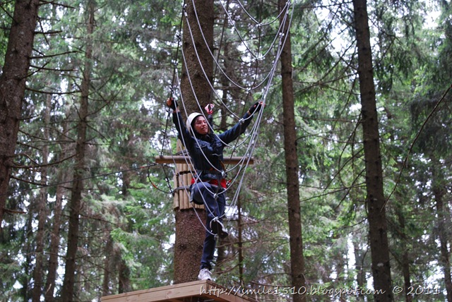 agility sugli alberi 1