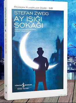 Fransa’nın bir liman kentinin denizci mahallesinde gezinirken duyduğu arya söyleyen sesi izleyerek tanımadığı insanların marazi hayatlarına dalan bir gezgin; patronuna kölece bağlılığı yüzünden korkunç bir eyleme sürüklenen karanlık, itici ve yabani bir hizmetçi; 1810 yılında İspanya’daki savaşta yaralanan, düşman bir ülkede amansız bir hayatta kalma mücadelesine girişen bir Fransız albay; 1918 yılının bir yaz gecesi Leman gölünde bulunup kurtarılan, ancak sonra yüreğini kavuran yurt özlemine yenik düşen bir Rus savaş esiri; yaşıtları üniversiteye giderken hâlâ liseye devam eden avare bir gencin öğretmeninin otoritesine isyan ettikten sonra ödediği ağır bedel.