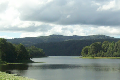 rocky creek dam lake with green grass, trees, mountains in background and lily-pads on lake surface