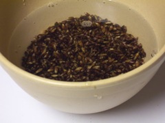 sprouted-barley-bread 001