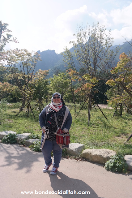 MOUNT SORAK, GUNUNG TERCANTIK DI KOREA, POKOK MAPEL, GUNUNG TERTINGGI, MT SORAK, KERETA KABEL, CABLE CAR DI MOUNT SORAK,  POKOK PAIN, Gwongeumseong Fortress, Seorak Sogongwon Cable Car, Seoraksan National Park (Oeseorak; Outer Seorak), Hotel Hanwha Resort, Seorak, MUSIM LURUH DI KOREA, PERCUTIAN MUSIM LURUH, MAKANAN KOREA,