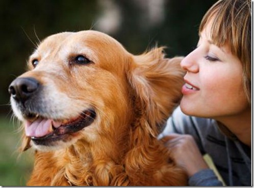dogs5