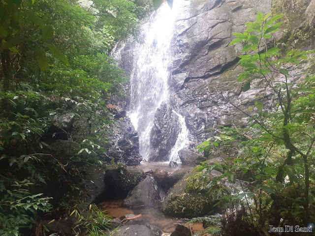 Cachoeira Do Afluente Do Rio Curralinho ou “Cachoeira Secreta Do Itupava”