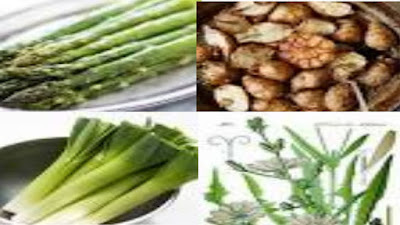 examples of prebiotics foods