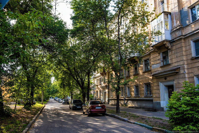 Улица в тени деревьев