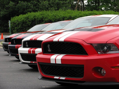 2013 Ford Shelby GT500