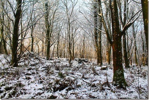 17-snow