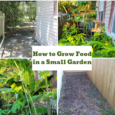 How to grow food in a small garden