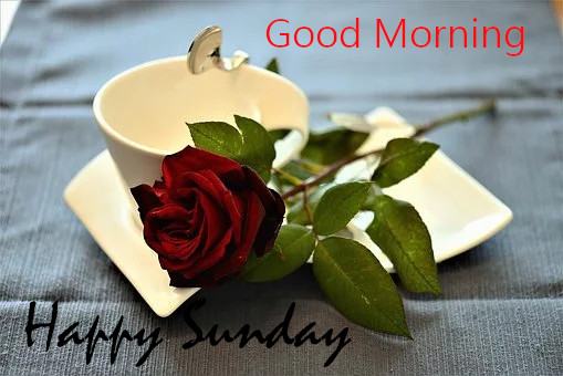 Wish You  Good Morning Happy Sunday