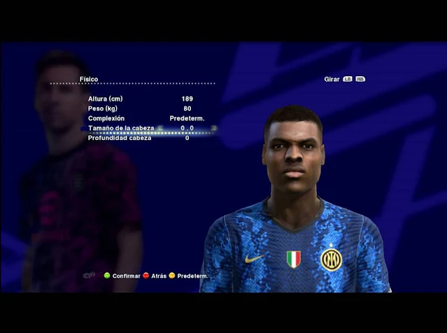 Denzel Dumfries Face For PES 2013