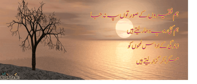 Poetry in Urdu