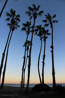 Photos from a day trip to Los Angeles California palm trees sunset cabrillo beach