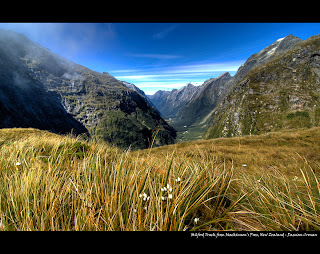 (New Zealand) - Milford Track