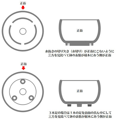 盆栽の鉢の正面