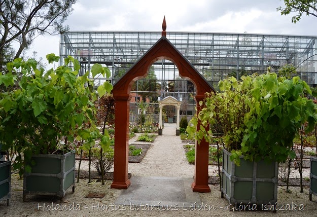 Glória Ishizaka - Hortus Botanicus Leiden - 85