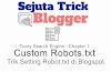 Trik Cara Setting Robots.txt Blogger Sesuai Aturan