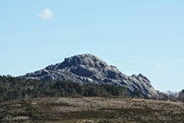 IMG_9562