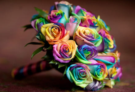 for a rainbow theme don't forget the rainbow roses Candy Land Wedding 