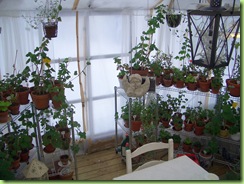 Bloggbilder 014