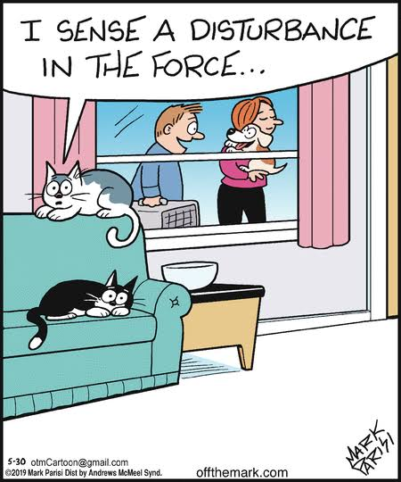 Humor Comics