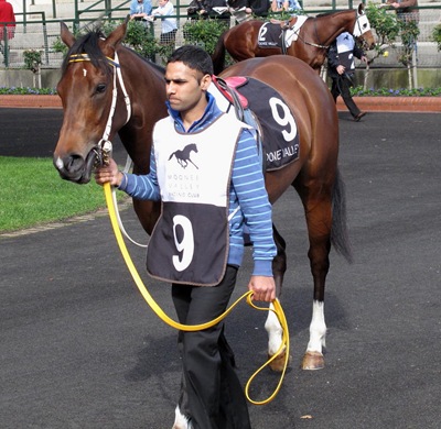race6_satin_shoes4