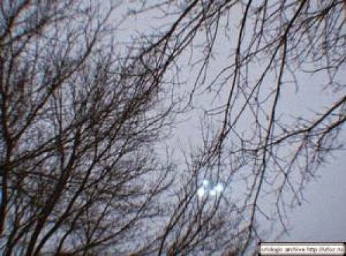Ufo Resmi