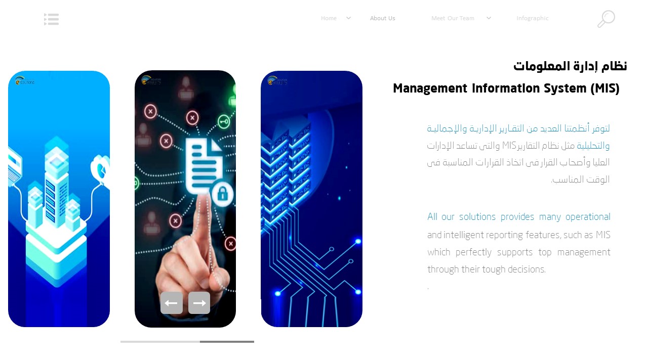 (Management information System (MIS