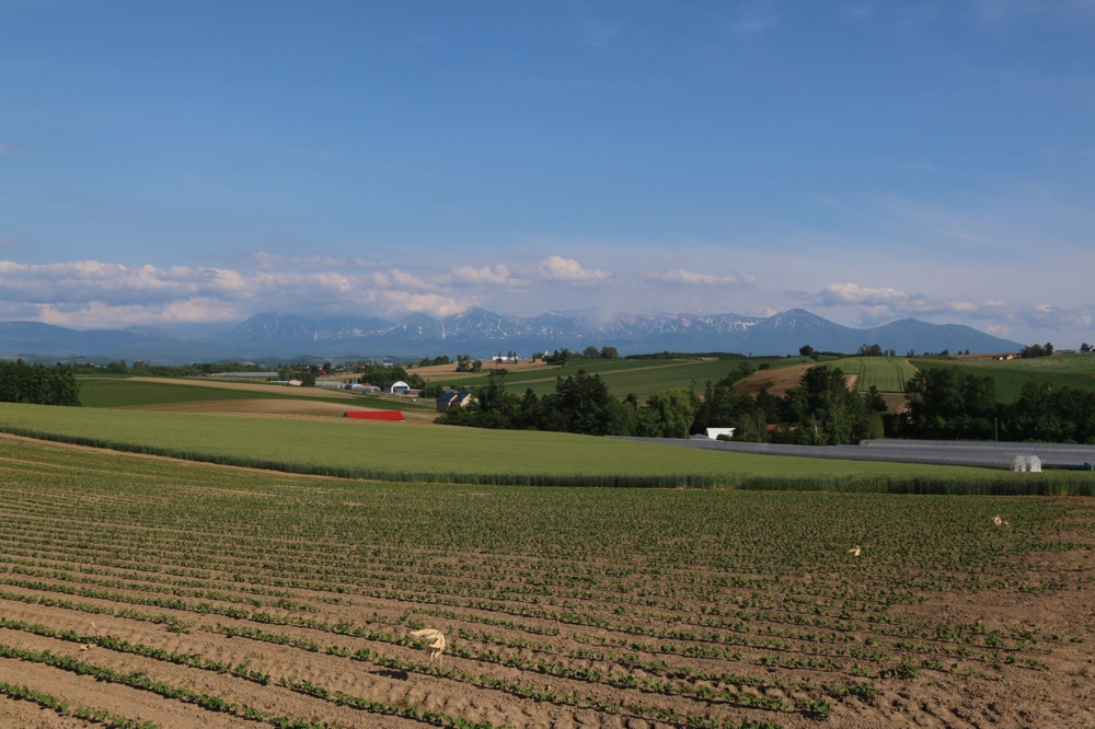 Farmlands