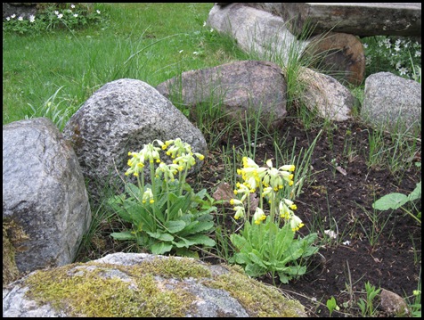 Bloggbilder 013
