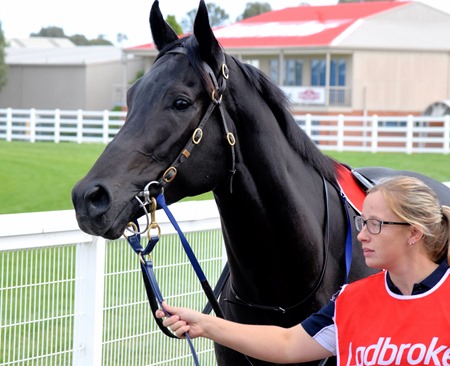 race 5_merriest 1