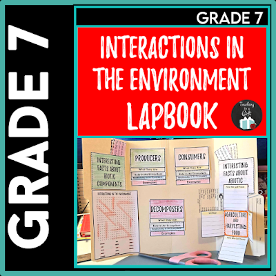 Photo of Grade 7 Interactions in the Environment Interactive Lapbook