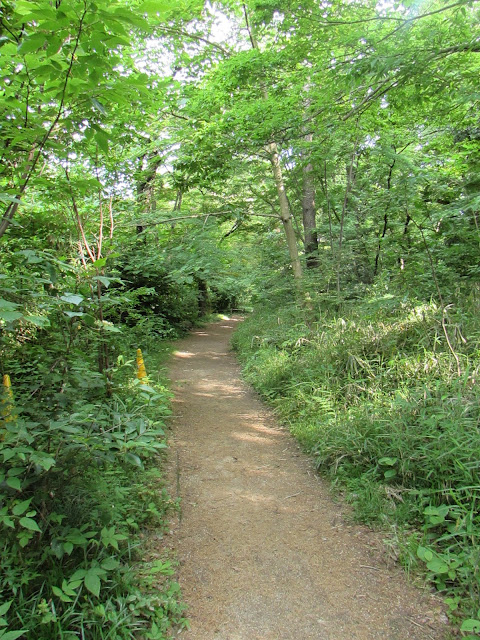 Shinjuku-gyoen