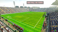 Pes 13 New Full HD Turfs Pack (48 Sta) By TopHardSoft