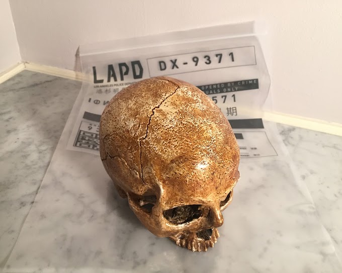 Blade Runner: 2049 LAPD Large Evidence Bag and Rachael's Skull Reproduction