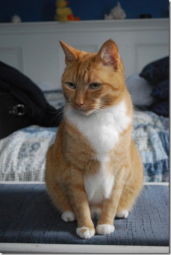 ben