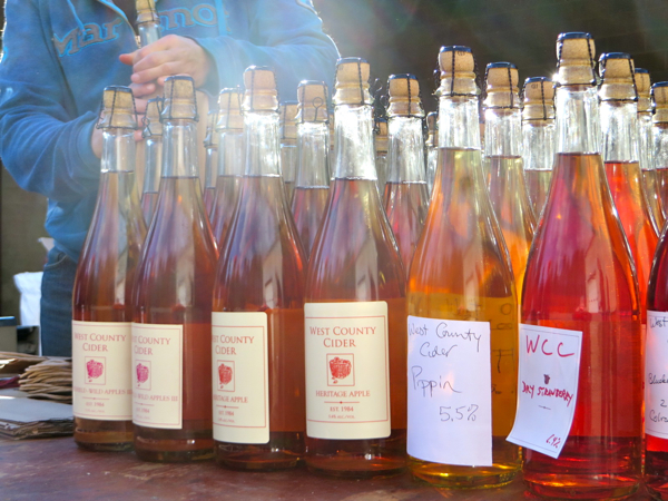 Bottles of cider