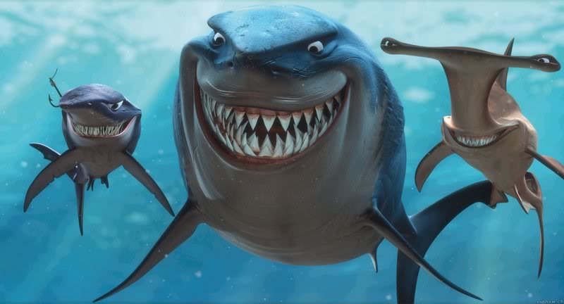 Cartoon Pics Of Sharks. cartoon sharks.