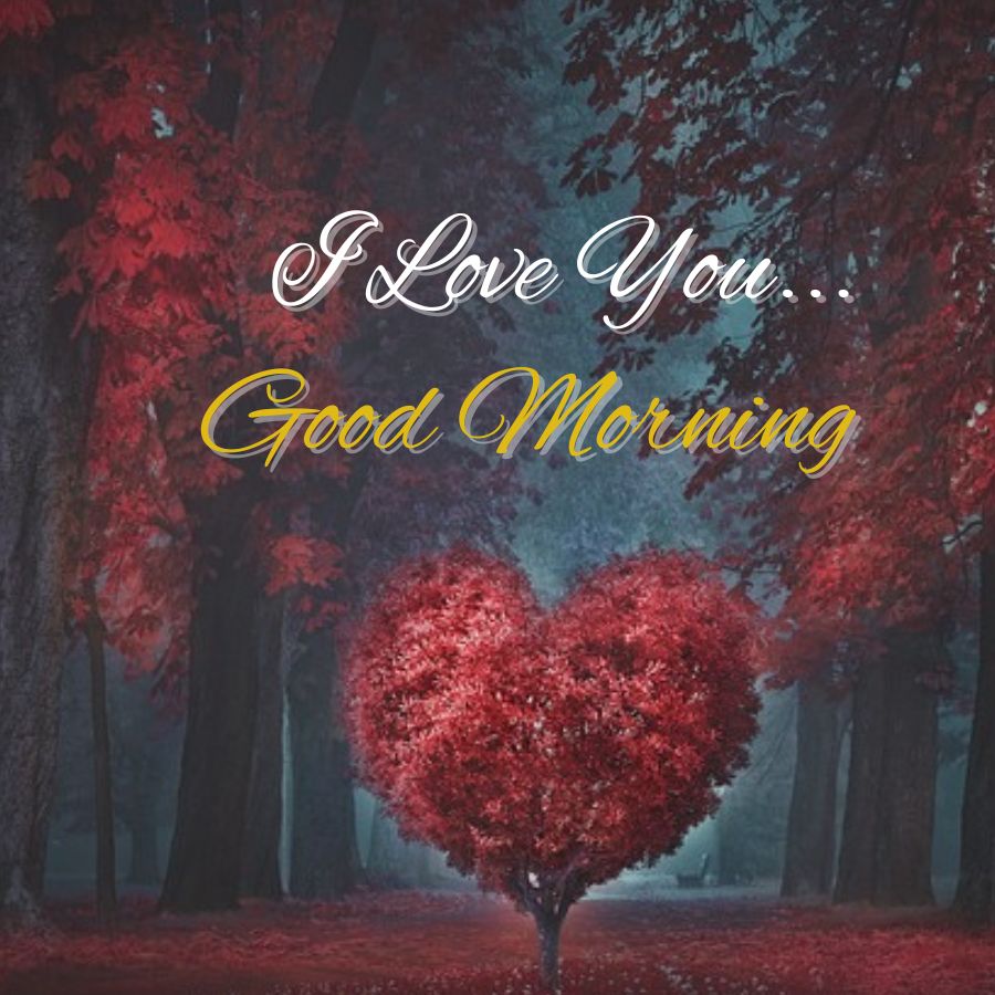 I Love You Good Morning Message Image