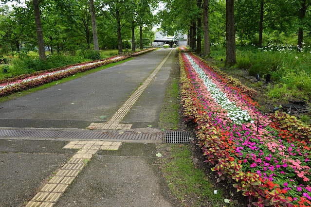 鳥取県西伯郡南部町鶴田 とっとり花回廊