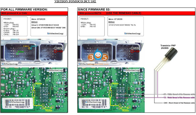 Visteon DCU 10X pinout to Fgtech