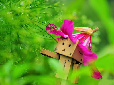 Wallpaper Danbo computer free