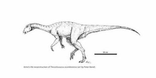 Thescelosaurus assiniboiensis, Dinosaurus Vegetarianz