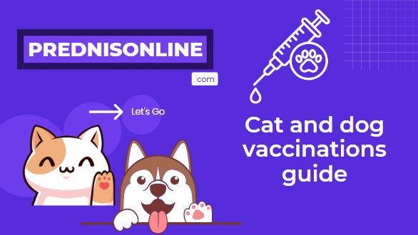 Cat and dog vaccinations guide