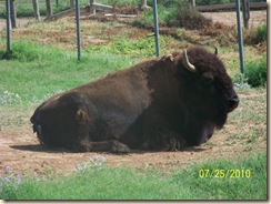 summer 2010 072